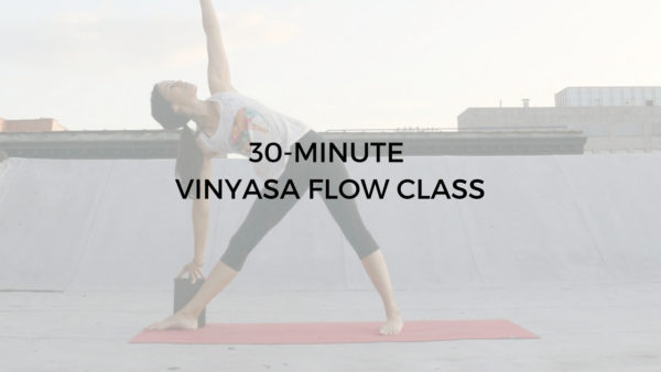 30 Minute Vinyasa Flow Class Argentina Rosado Yoga