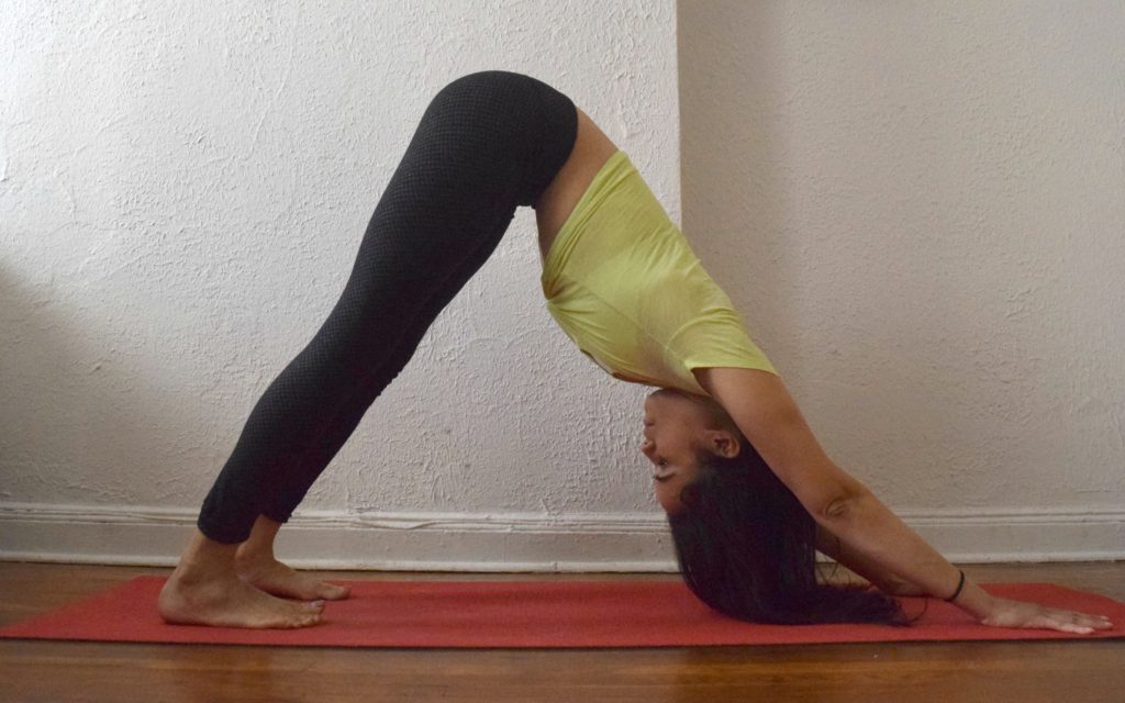 Yoga for Digestion - Downward facing dog - downdog 2