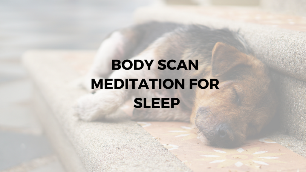 Body scan meditation for sleep - Argentina Rosado Yoga