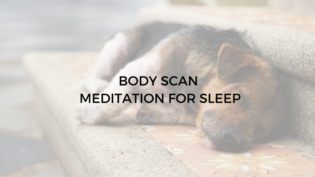 Sleep meditation - Body scan - yoga nidra meditation for sleep