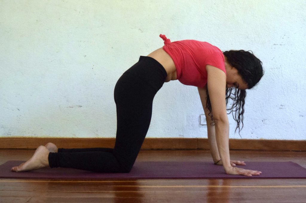 10 Morning Yoga Poses to awake and energize - Cat Pose - Argentina Rosado Yoga